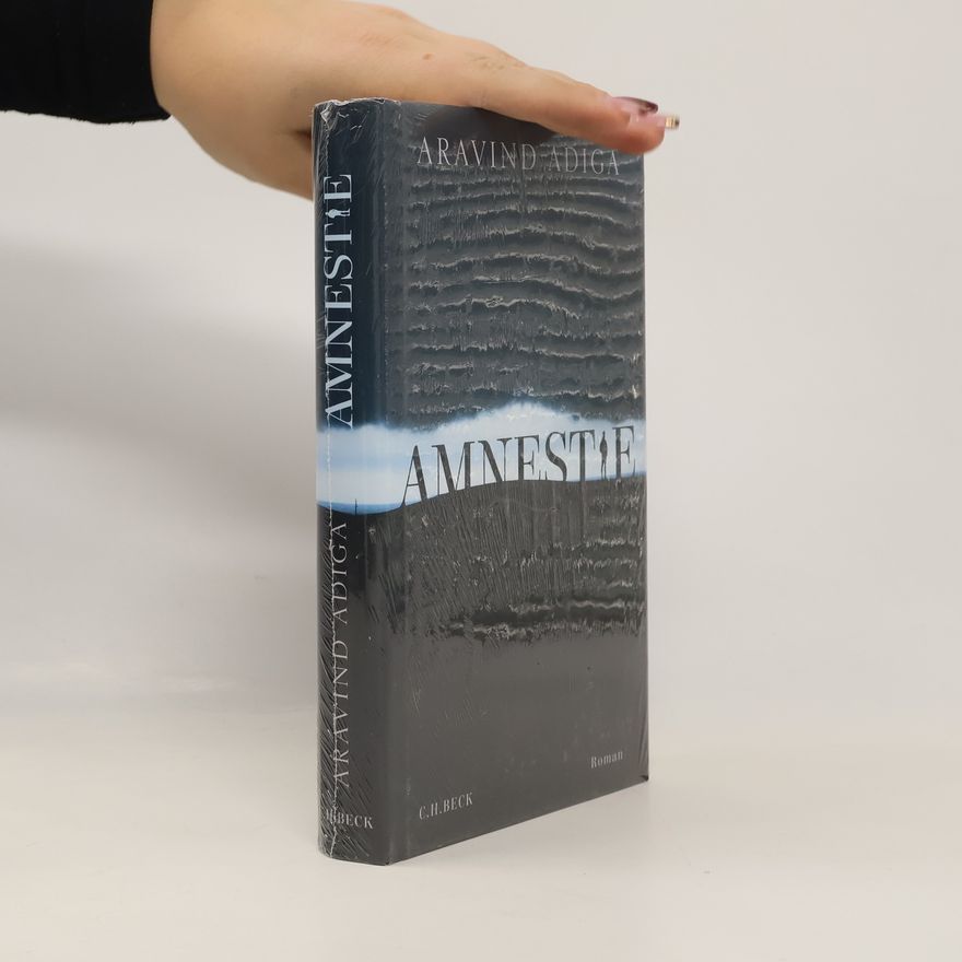 Aravind Adiga Amnestie