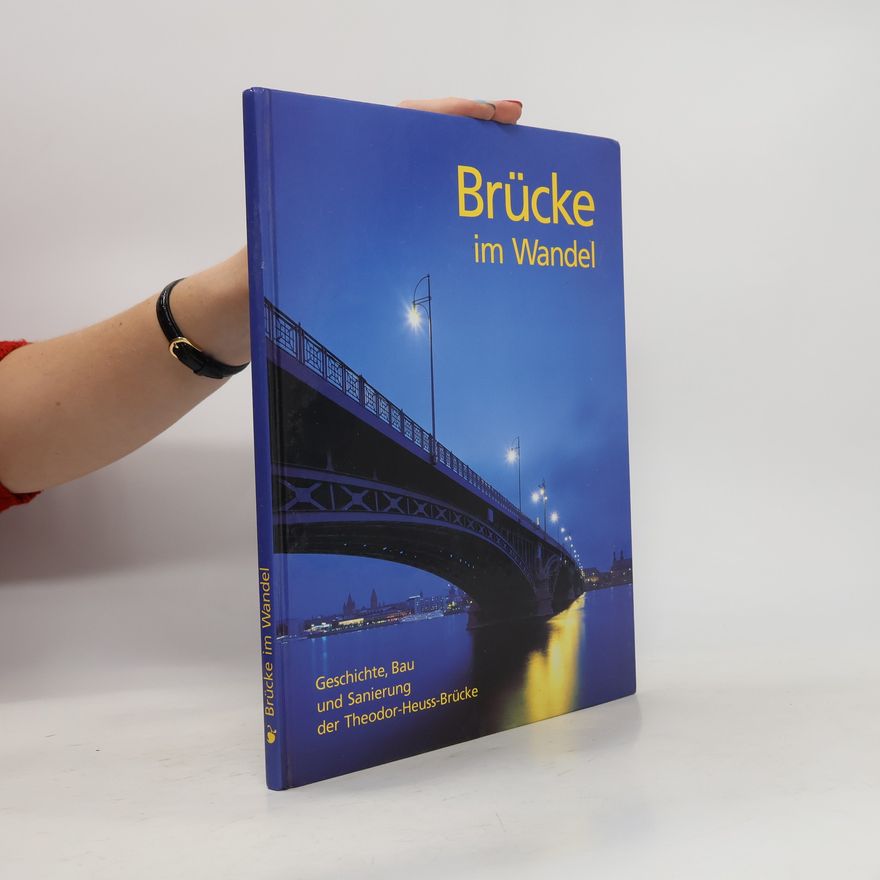 Rolf Dörrlamm Brücke im Wandel