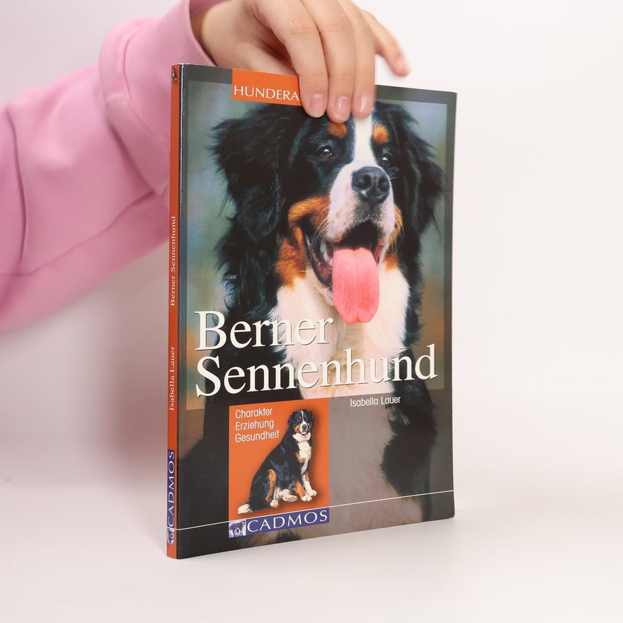 Isabella Lauer Berner Sennenhund
