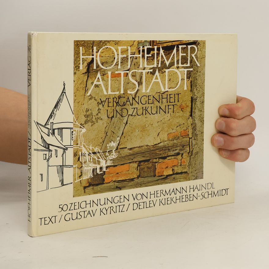 Hermann Haindl Hofheimer Altstadt, Vergangenheit und Zukunft