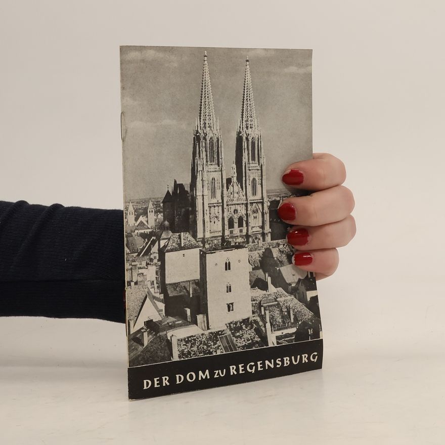 Kolektiv autorů Der Dom zu Regensburg