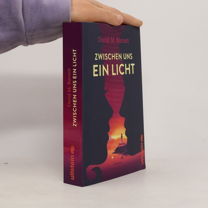 David Barnett Zwischen uns ein Licht