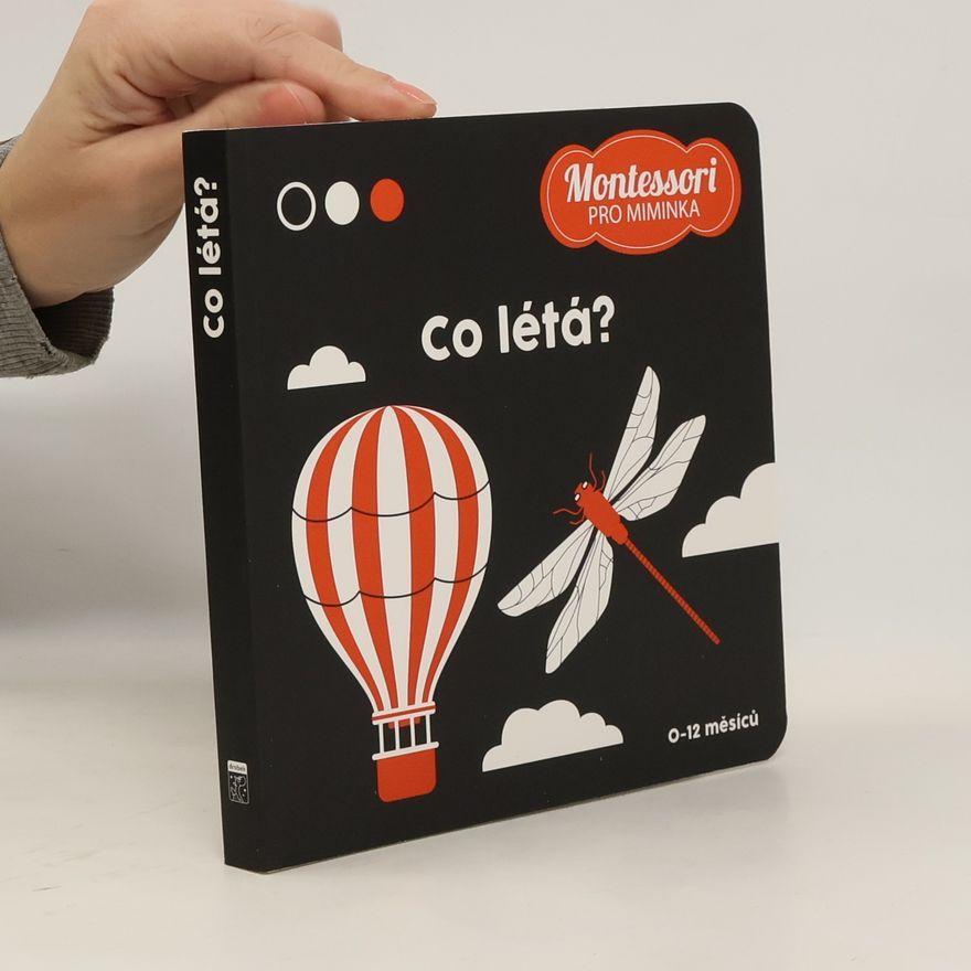 Kolektív autorov Co létá?