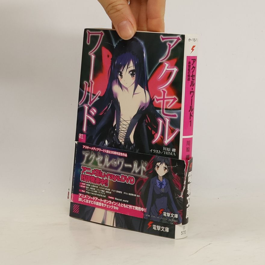 Reki Kawahara アクセル・ワールド