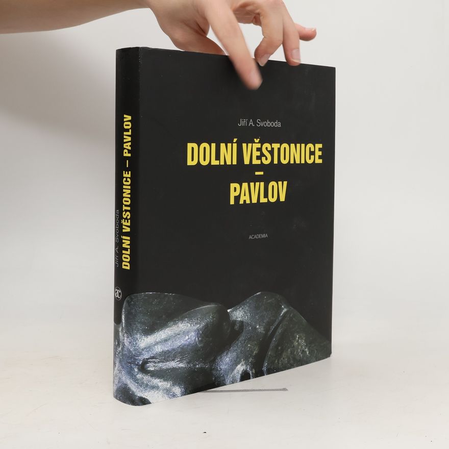 Jiří Svoboda Dolní Věstonice - Pavlov
