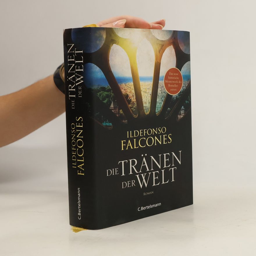 Ildefonso Falcones Die Tränen der Welt