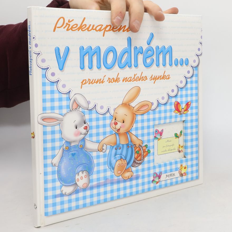 Kolektiv autorů Překvapení v modrém; první rok našeho synka