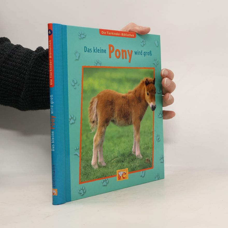 Sandra Grimm Das kleine Pony wird groß