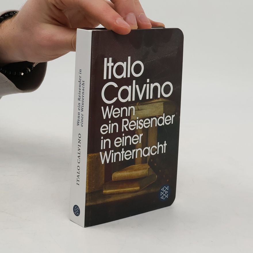 Italo Calvino Wenn ein Reisender in einer Winternacht