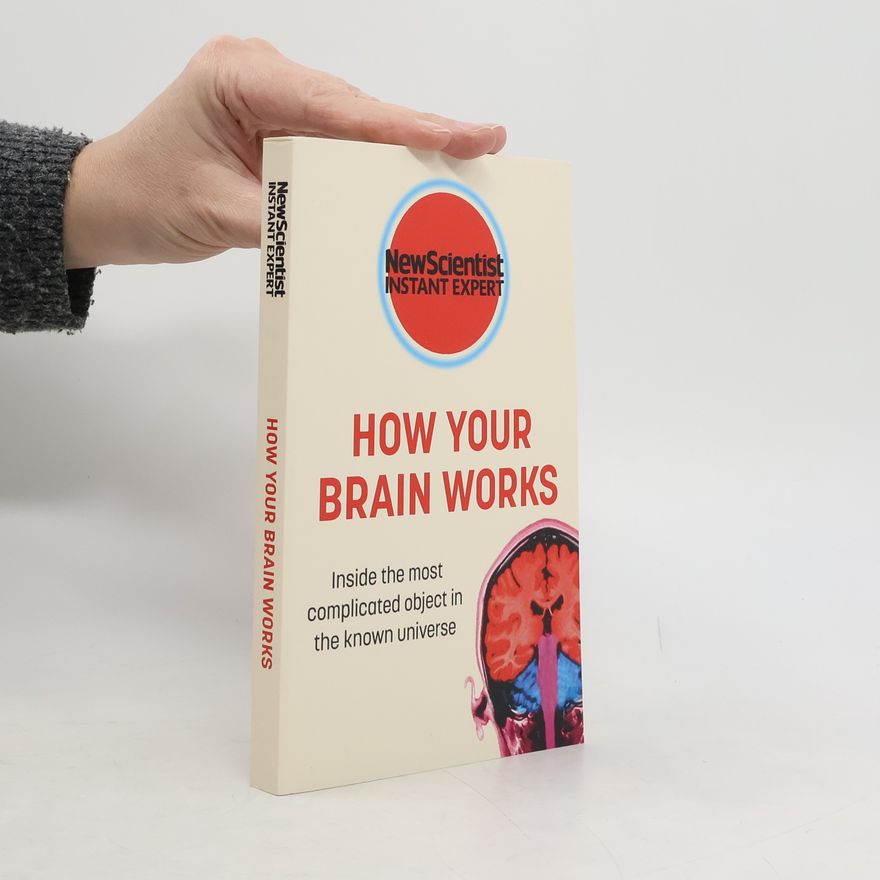 New Scientist How Your Brain Works