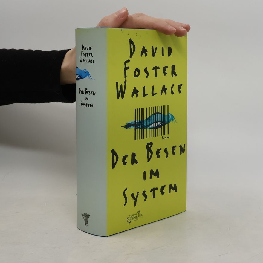 David Foster Wallace Der Besen im System