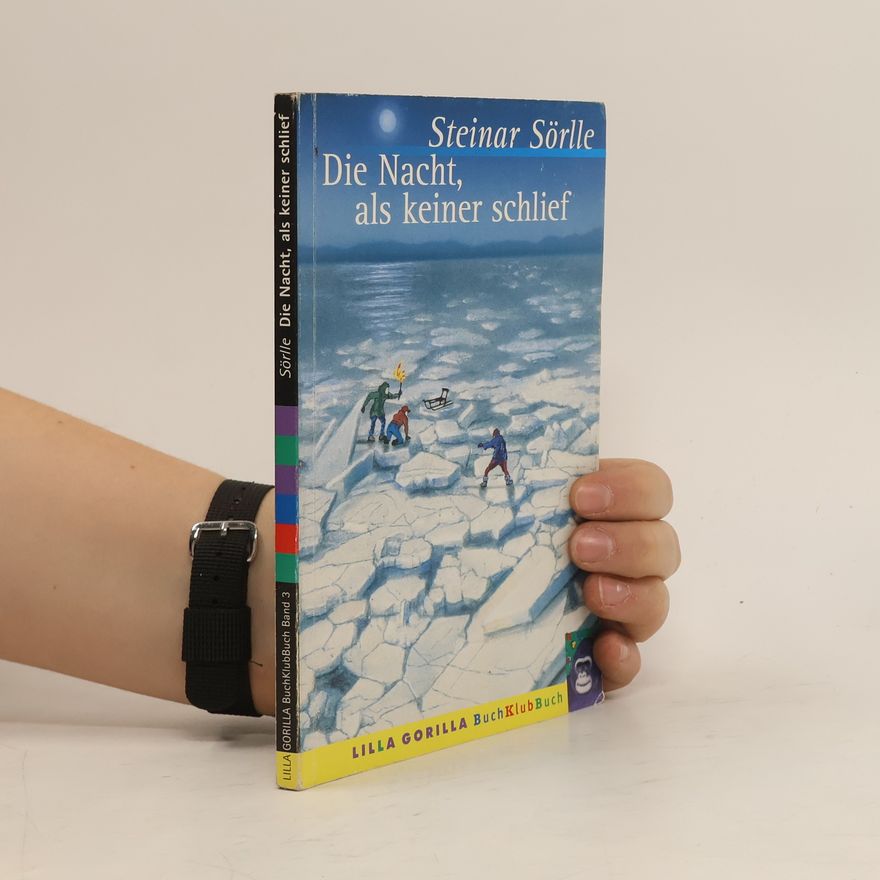 Steinar Sörlle Die Nacht, als keiner schlief