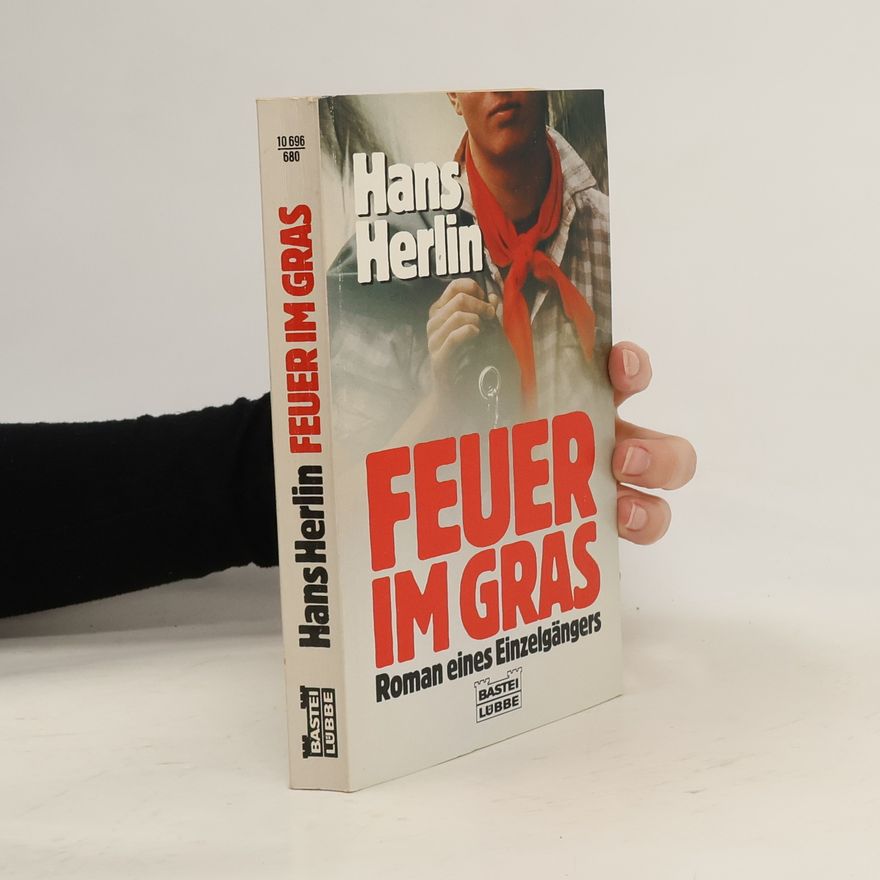 Hans Herlin Feuer im Gras