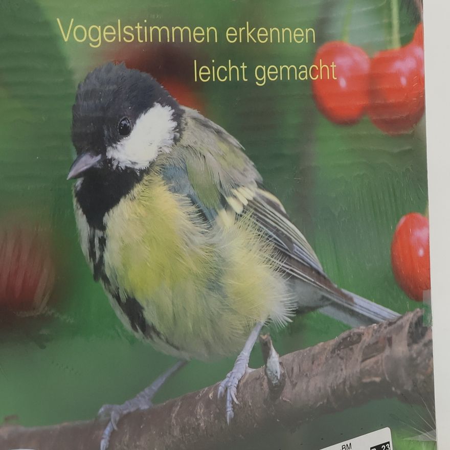 Kolektiv autorů Wer singt denn da?