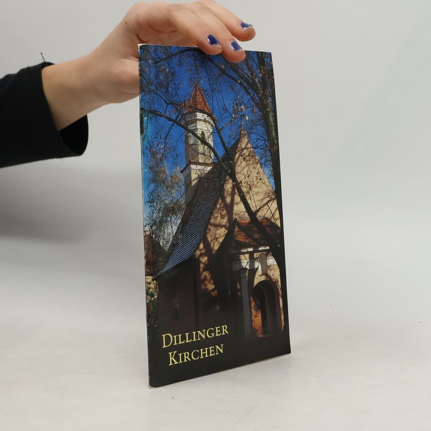 Kolektív autorov Dillinger Kirchen
