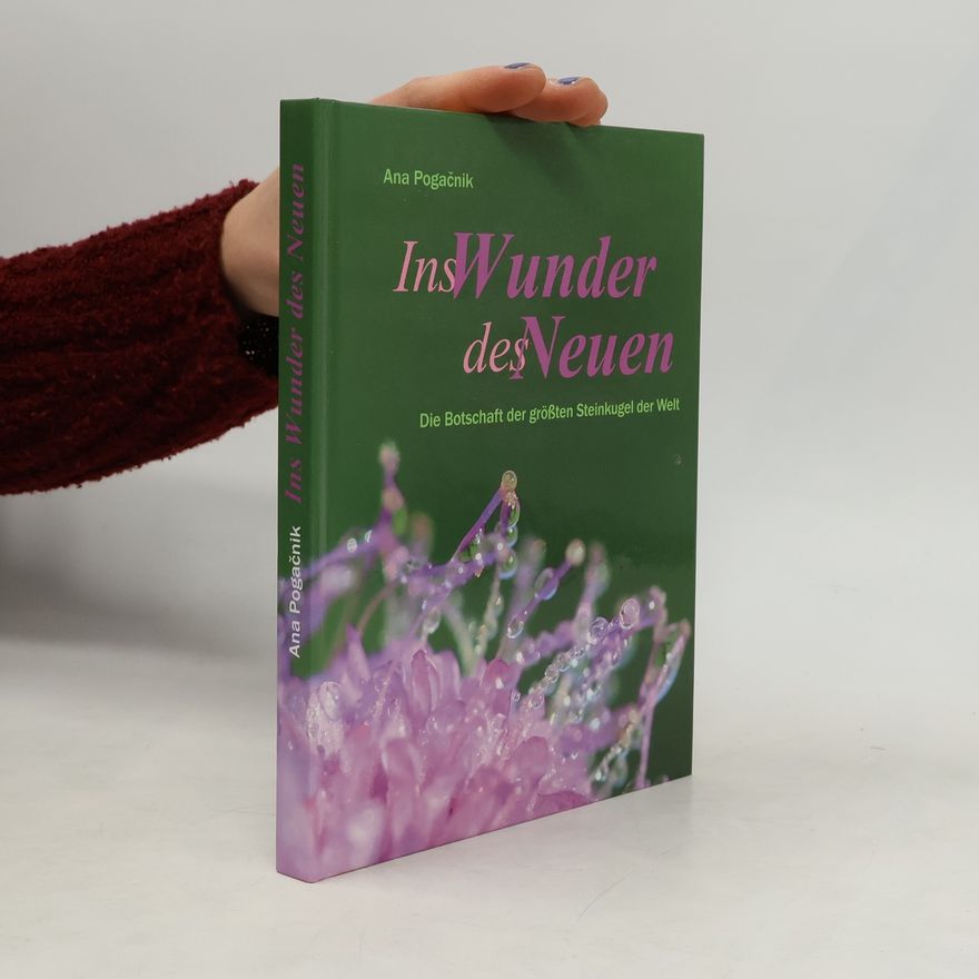 Ana Pogačnik Meier Ins Wunder des Neuen