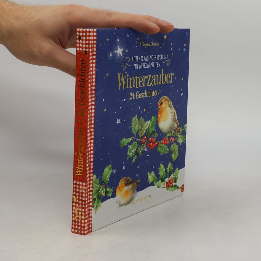 Kolektiv autorů Winterzauber - 24 Geschichten