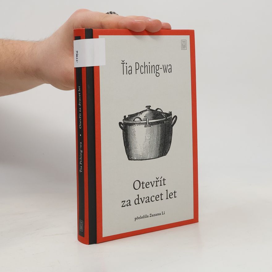 Pingwa Jia Otevřít za dvacet let