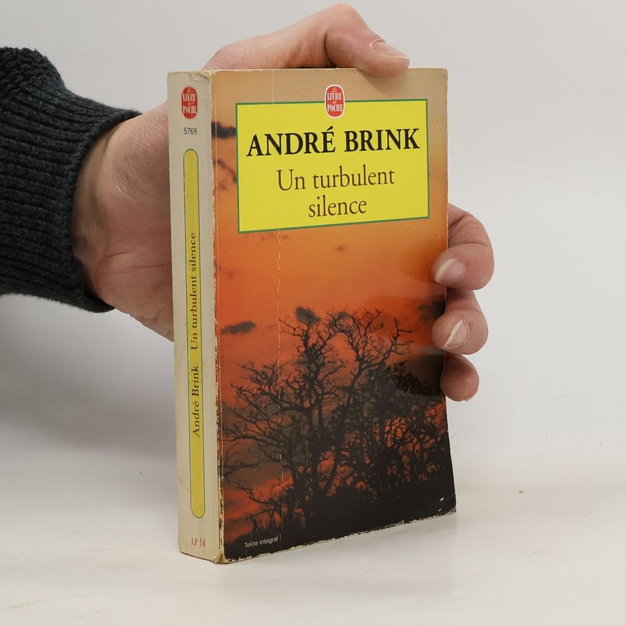 André Brink Un turbulent silence