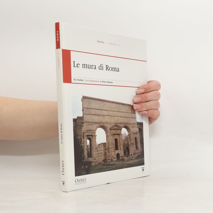 Nic Fields Le mura di Roma