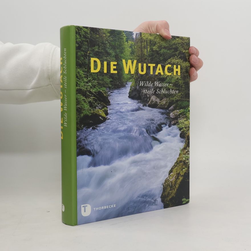 Jan Baer Die Wutach