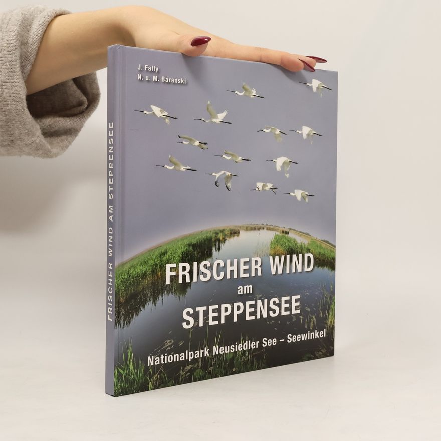 Josef Fally Frischer Wind am Steppensee