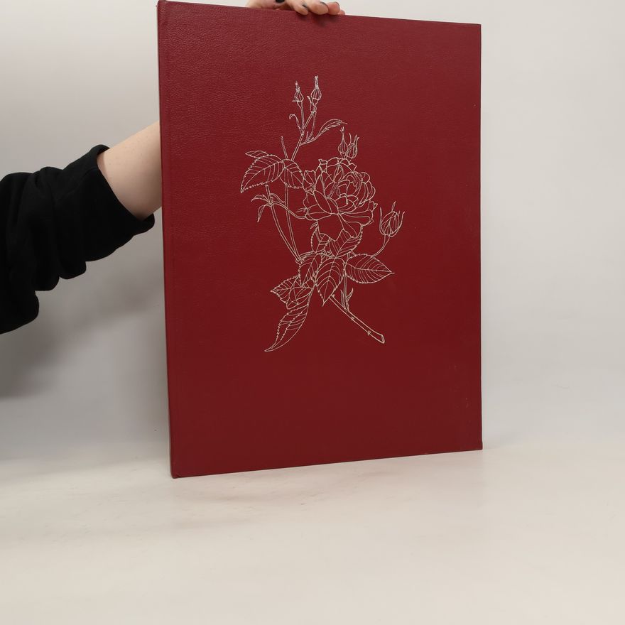 Autorenkollektiv Zauber der rose