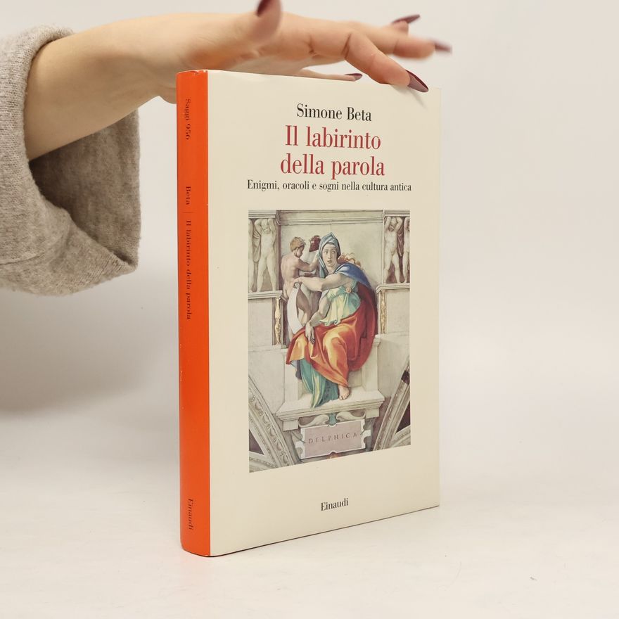 Simone Beta Il labirinto delle parole
