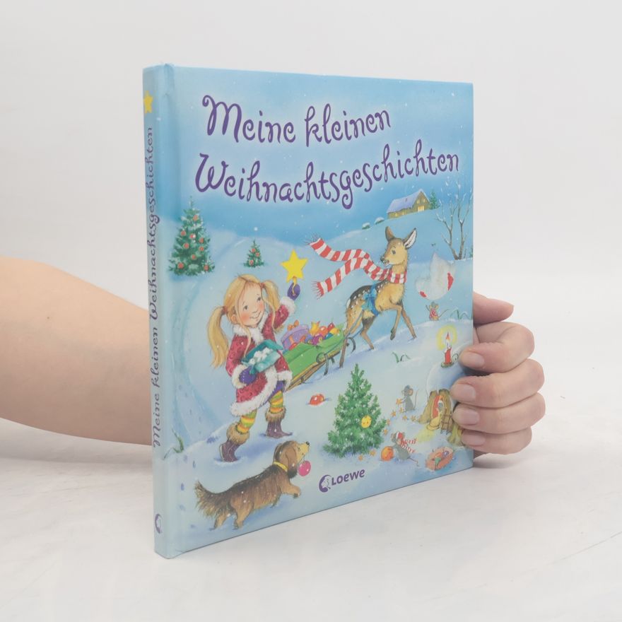Hans-Christian Schmidt Meine kleinen Weihnachtsgeschichten