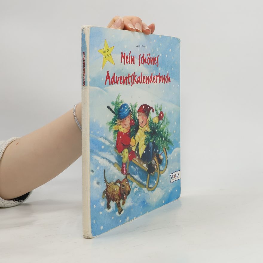 Jutta Timm Mein schönes Adventskalenderbuch