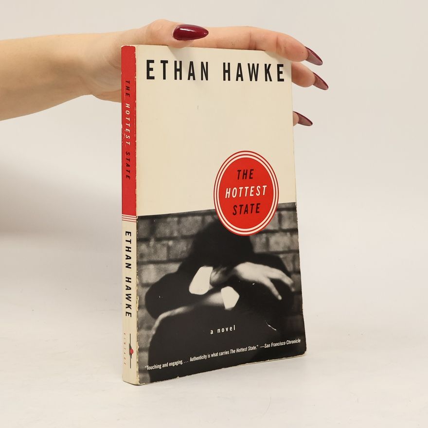 Ethan Hawke The Hottest State