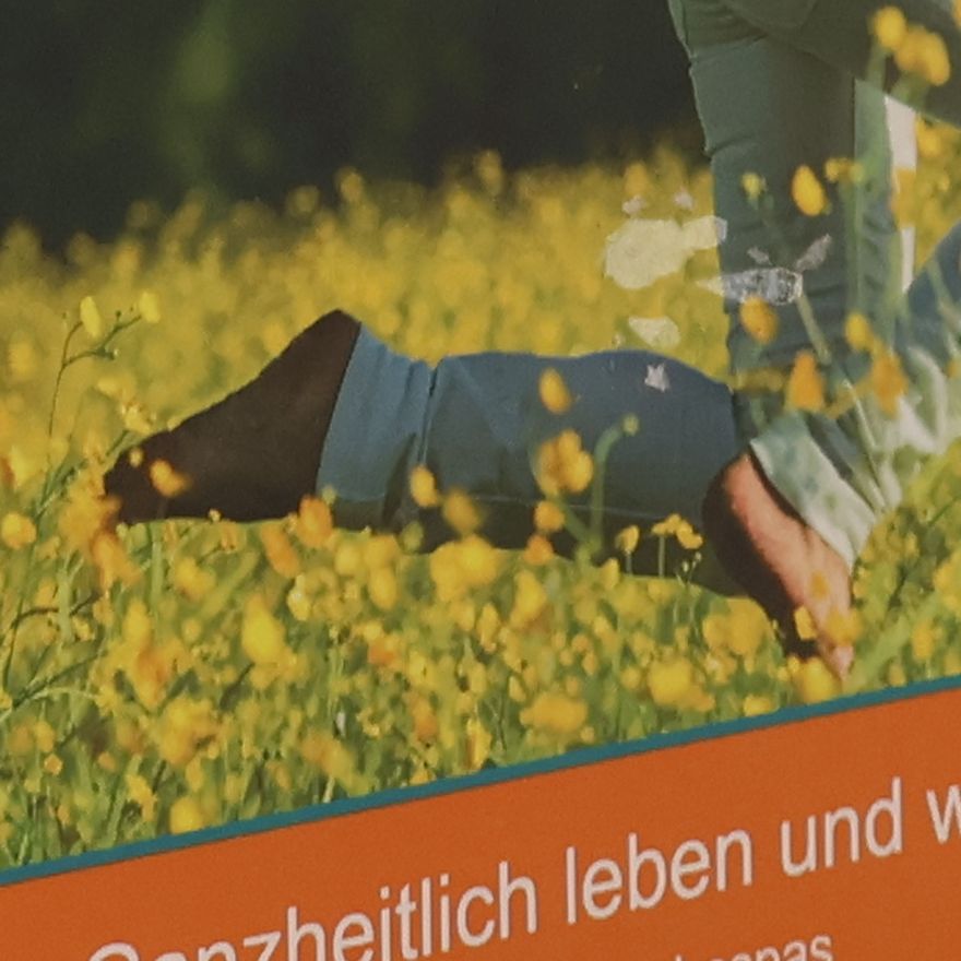 Christina Arnold 7 Schritte zu mehr Lebensfreude. Ganzheitlich leben und arbeiten