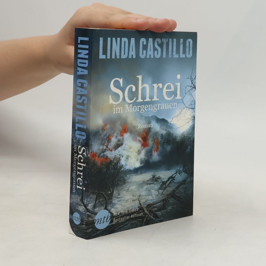 Linda Castillo Schrei im Morgengrauen