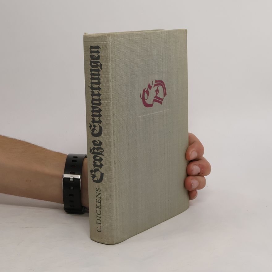 Charles Dickens Grosse Erwartungen