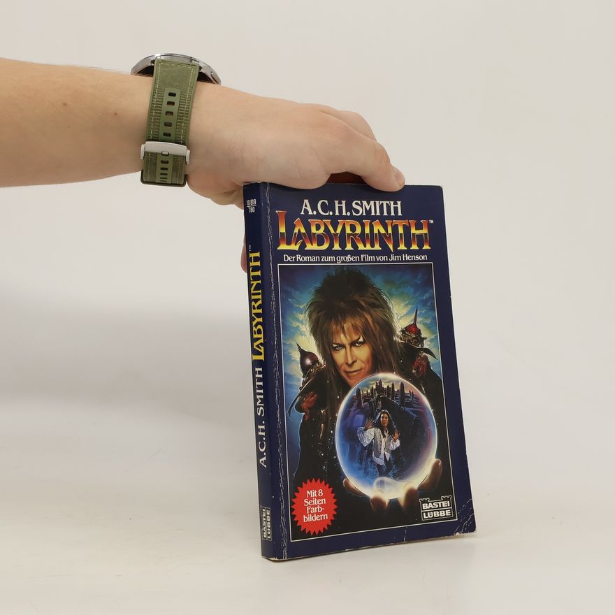 Anton C. H. Smith Labyrinth. Der Roman zum Film