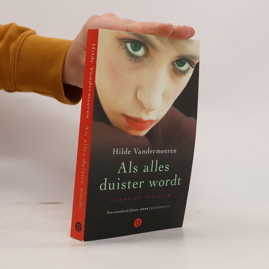 Hilde Vandermeeren Als alles duister wordt