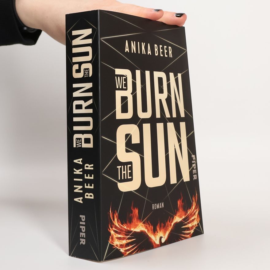 Anika Beer We Burn the Sun