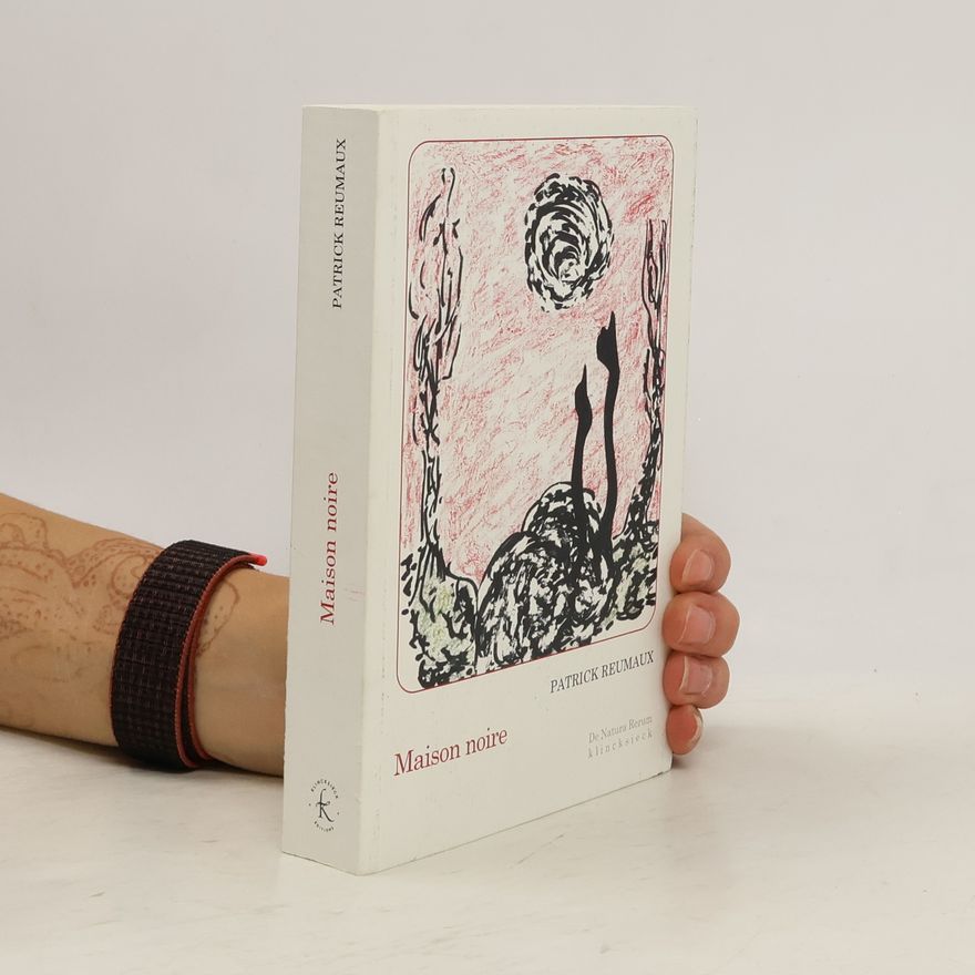 Patrick Reumaux De Natura Rerum: Maison noire