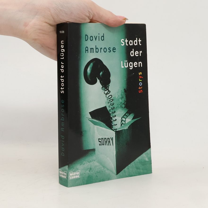 David Ambrose Stadt der Lügen