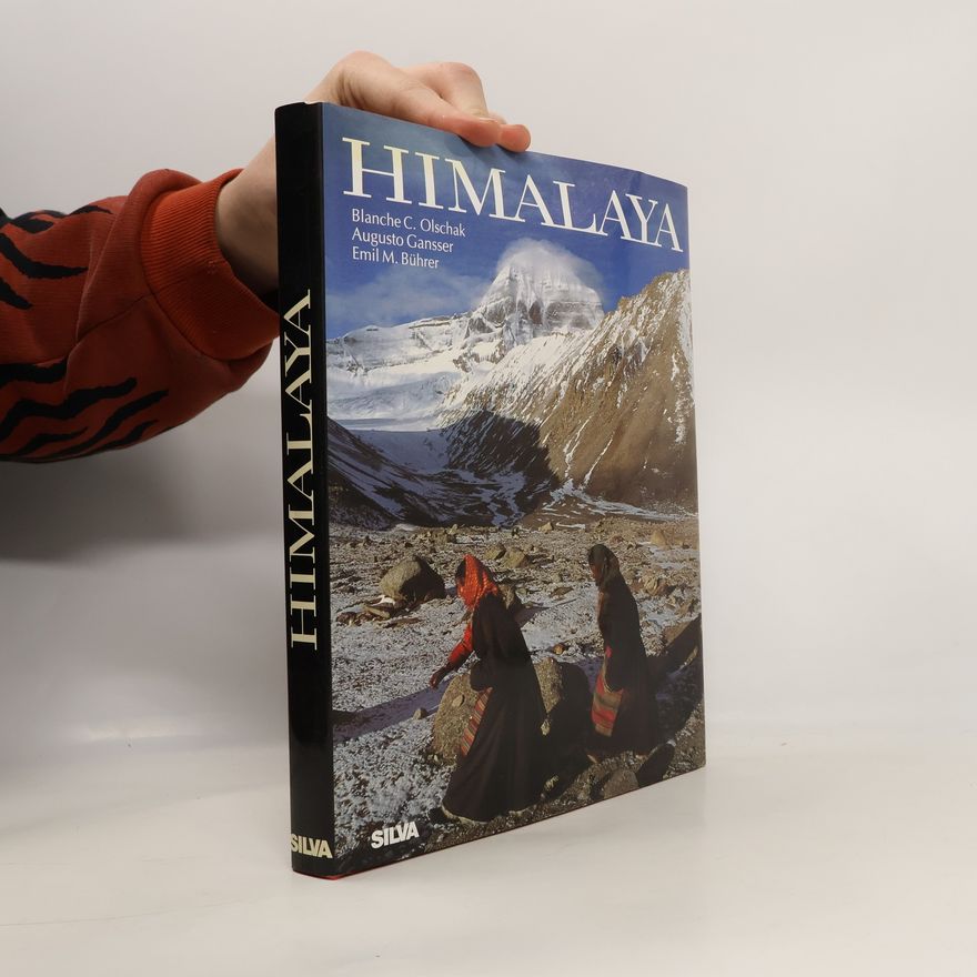 Martin Bührer Himalaya
