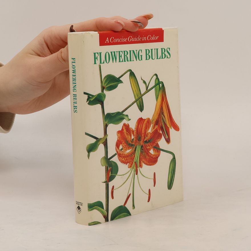 Eva Petrová Flowering Bulbs