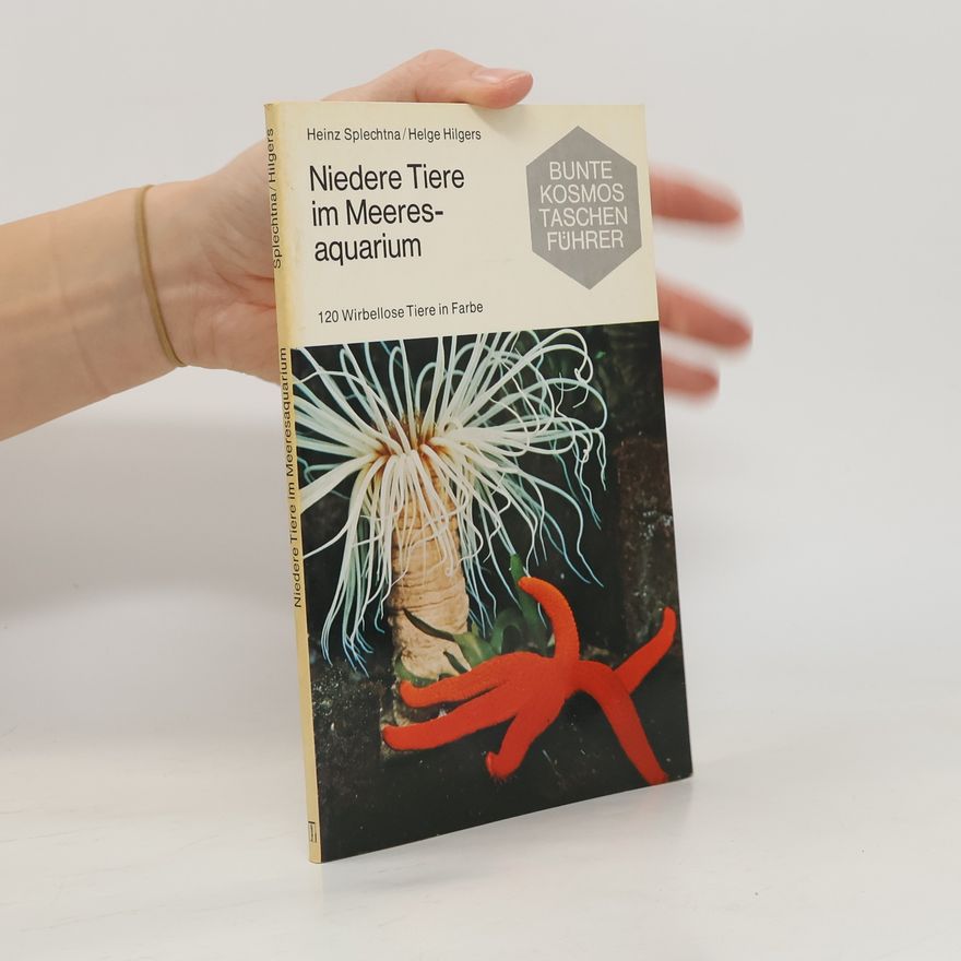 Heinz Splechtna Niedere Tiere im Meeresaquarium
