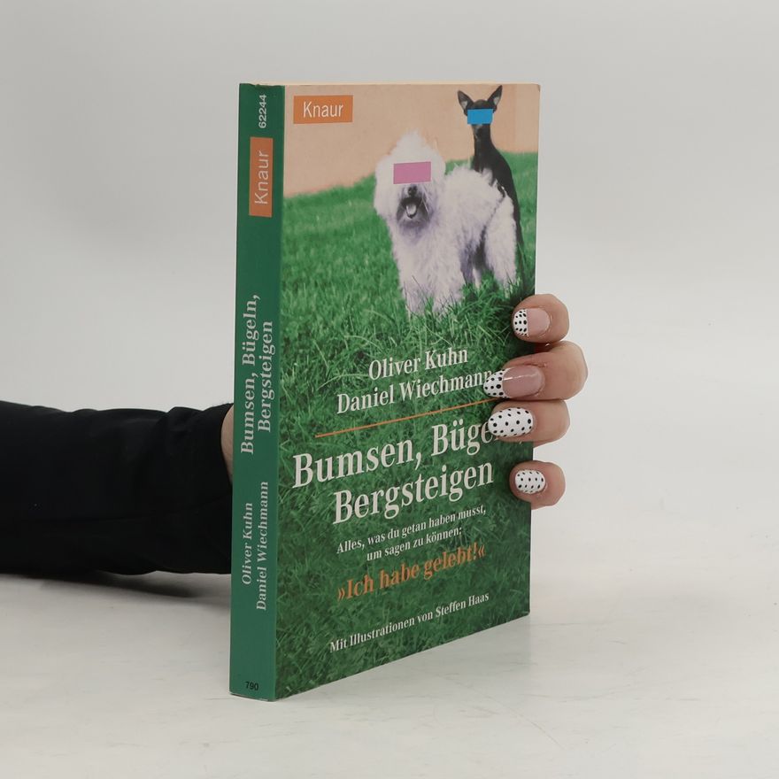 Daniel Wiechmann Bumsen, bügeln, bergsteigen