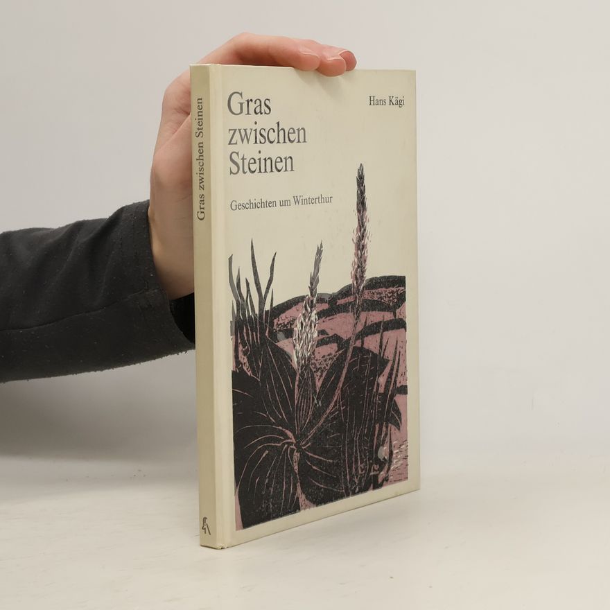 Hans Kägi Gras zwischen Steinen