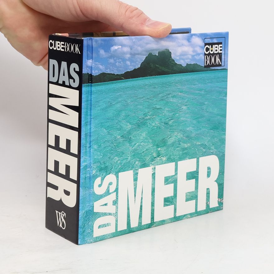 Gaetano Cafiero Das Meer