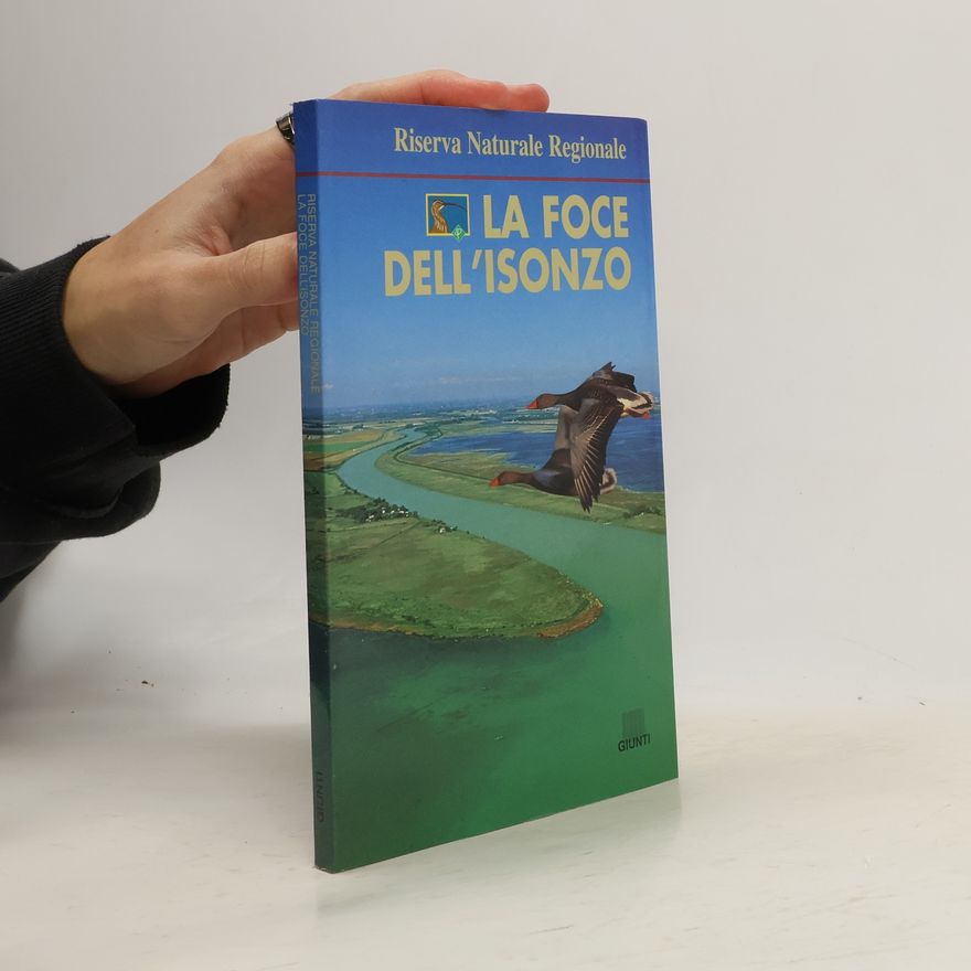 Gualtiero Simonetti La Foce dell'Isonzo