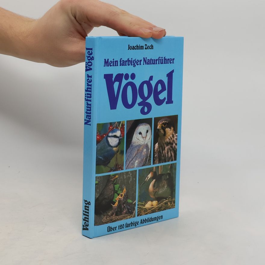 Joachim Zech Mein farbiger Naturführer. Vögel