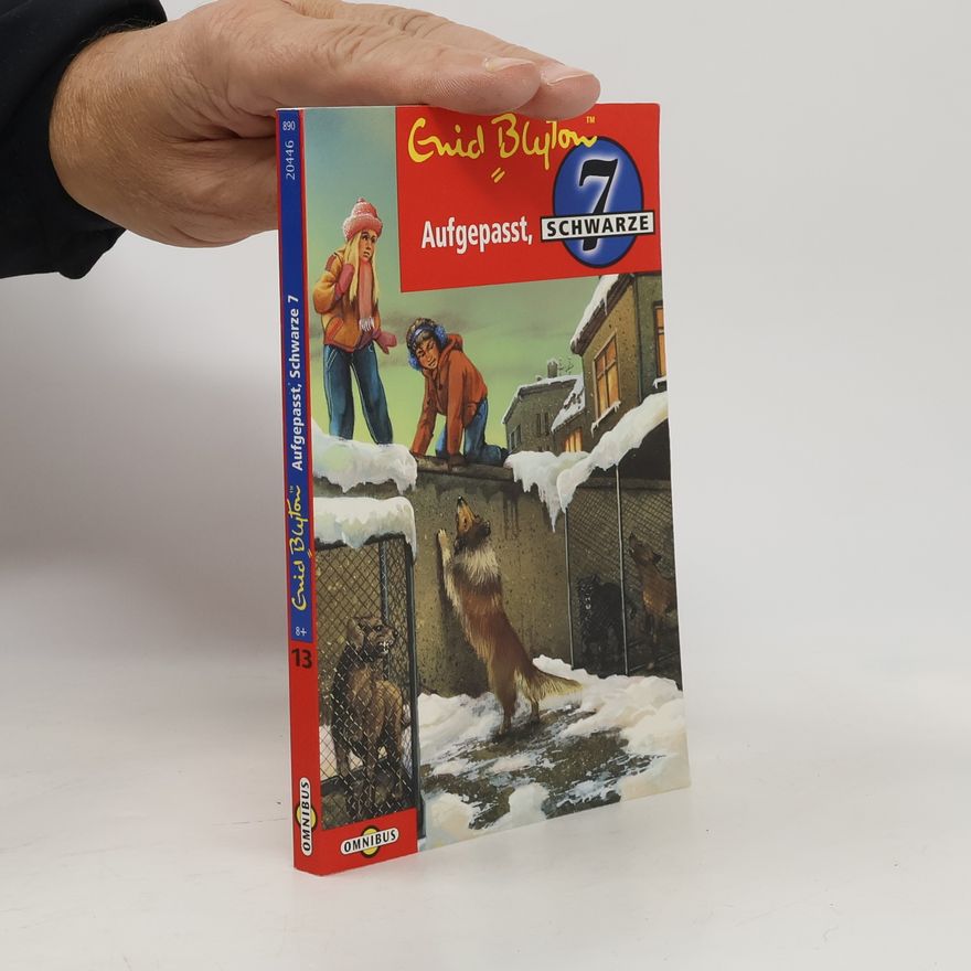 Enid Blyton Aufgepasst, Schwarze Sieben. Die Schwarze Sieben - Band 13