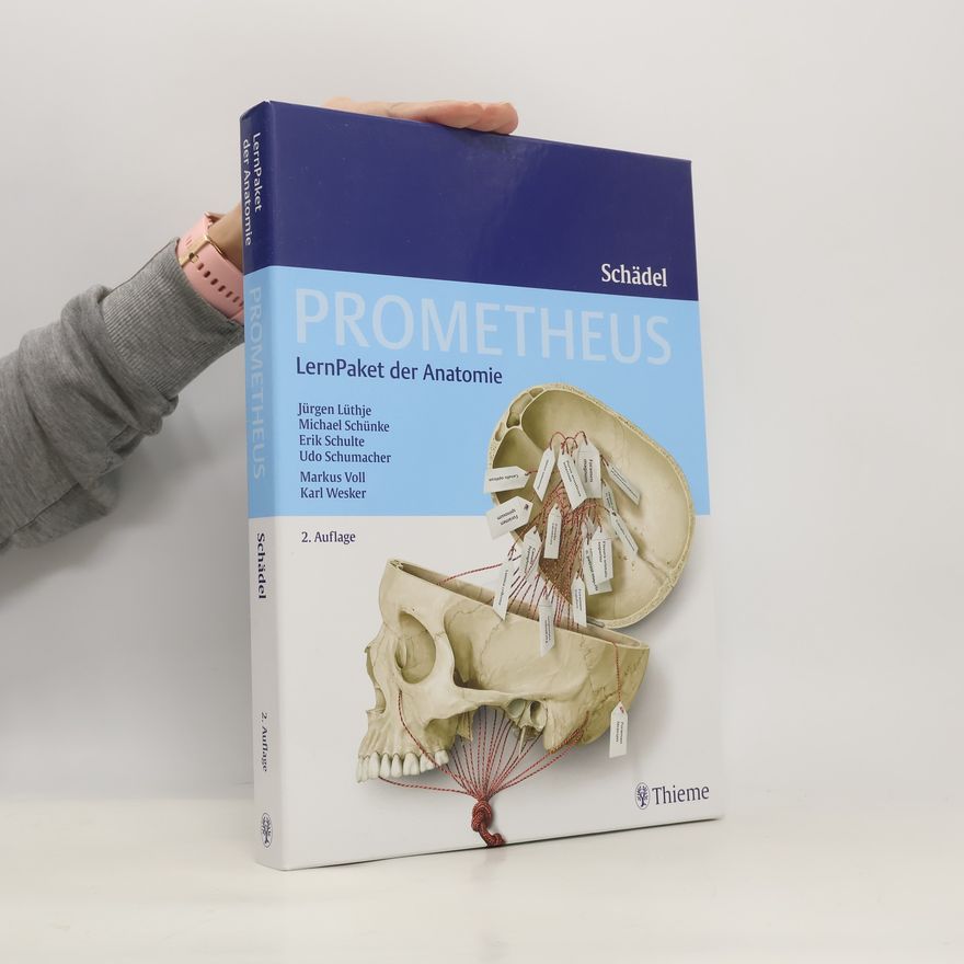Jürgen Lüthje Prometheus: LernPaket der Anatomie