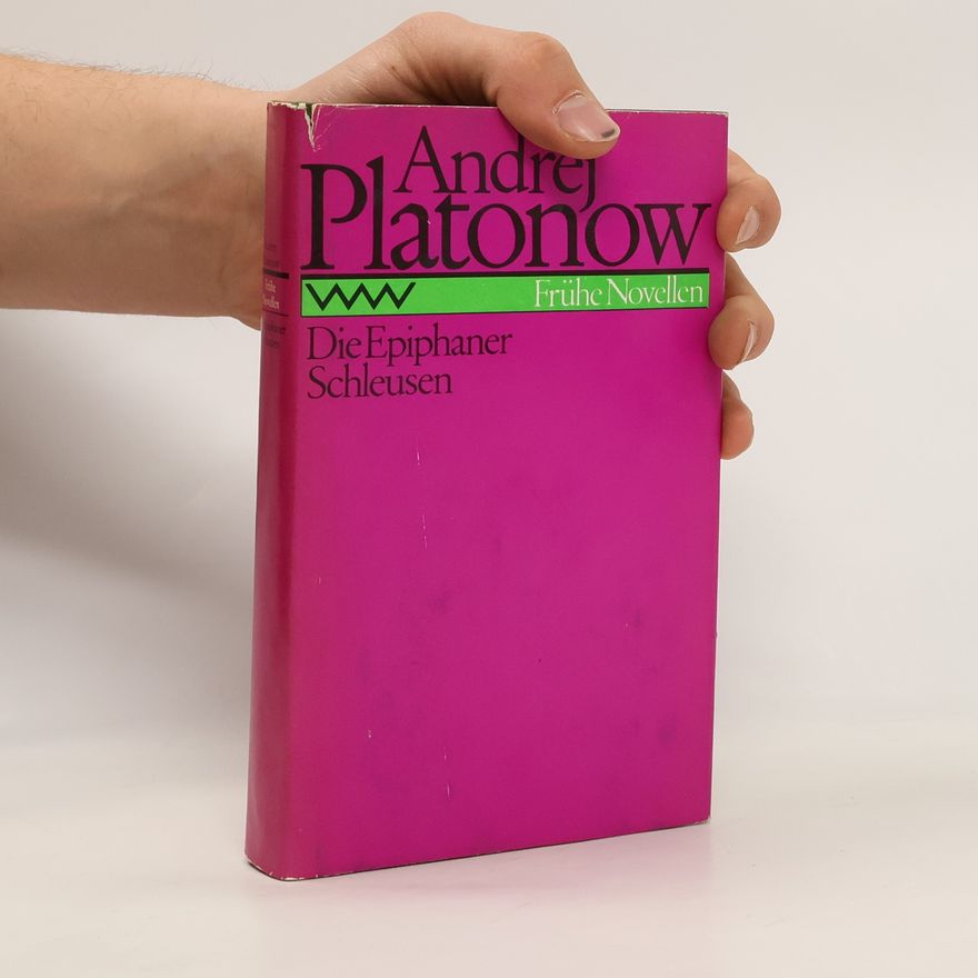 Andrej Platonov Die Epiphaner Schleusen